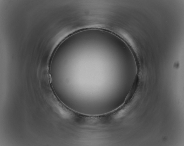 X0000092261332200710121331