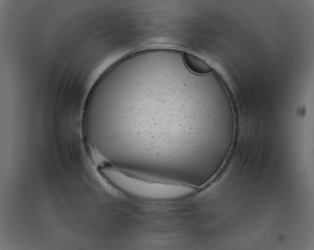 X0000092261333200710121331