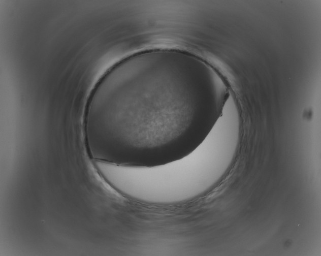 X0000092261334200710121331