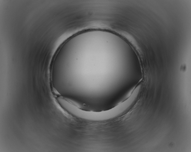 X0000092261335200710121331