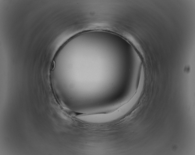 X0000092261336200710121331