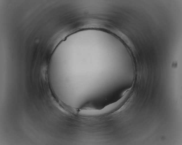 X0000092261337200710121331