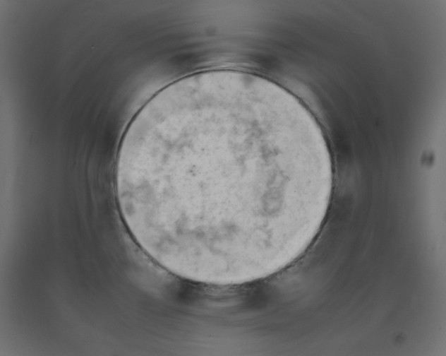 X0000092261338200710121331