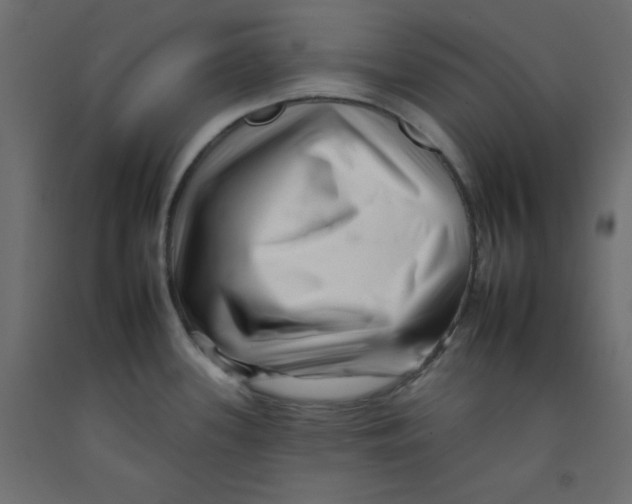 X0000092261339200710121331