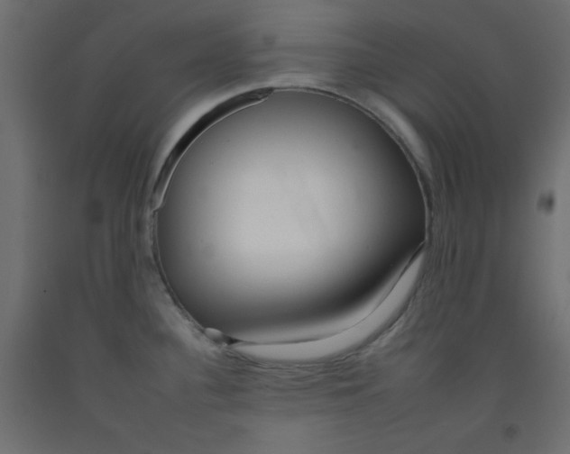 X0000092261340200710121331