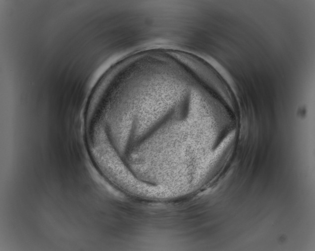 X0000092261341200710121331