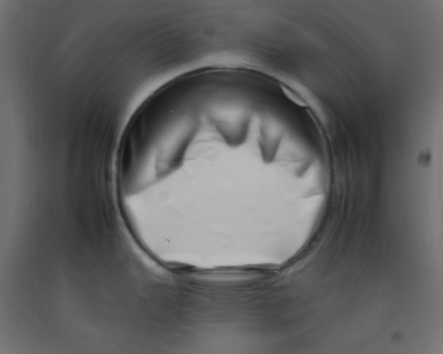 X0000092261343200710121331