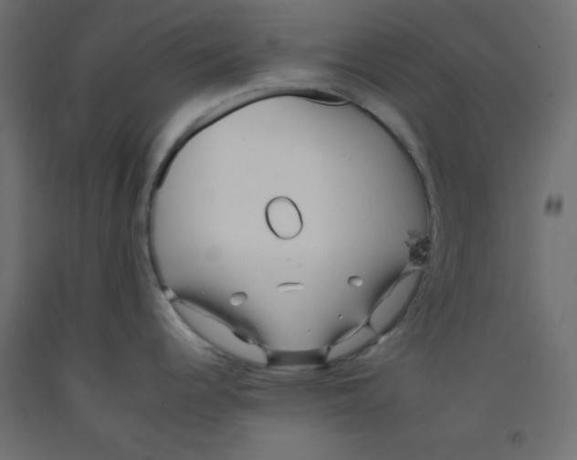 X0000092261344200710121331