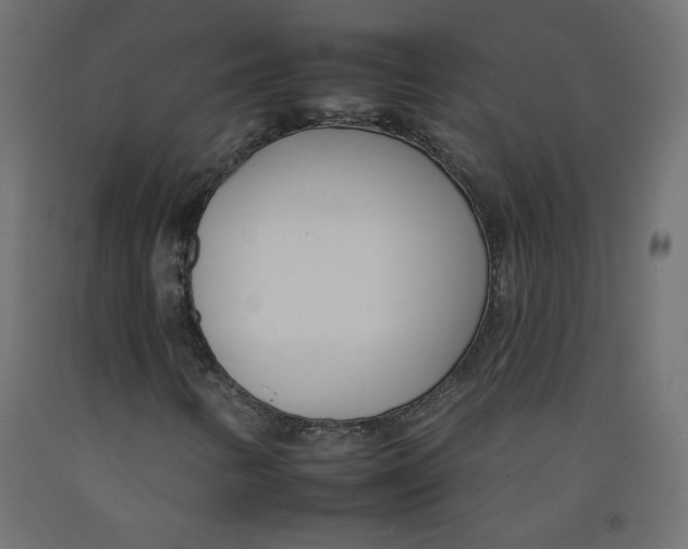 X0000092261346200710121331