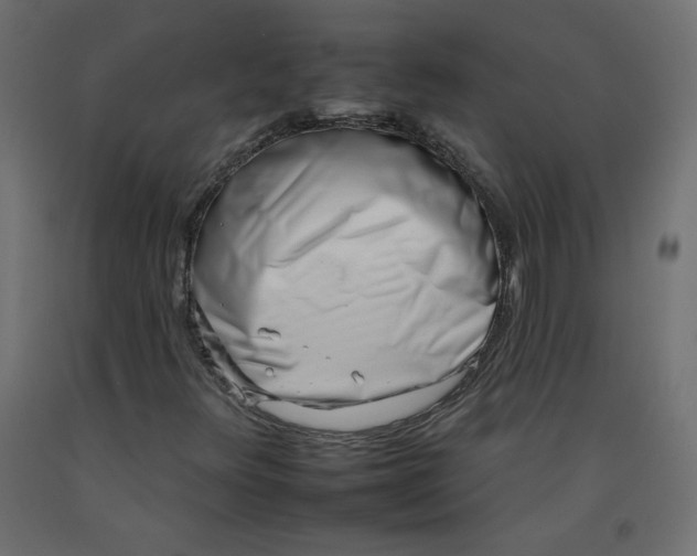 X0000092261348200710121331