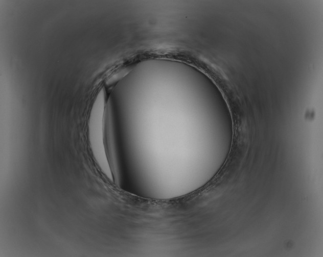 X0000092261349200710121331