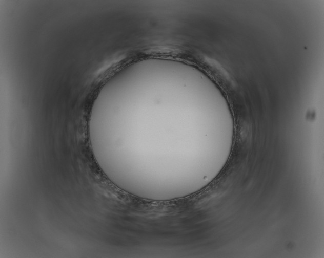 X0000092261350200710121331