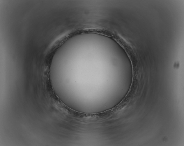 X0000092261351200710121331