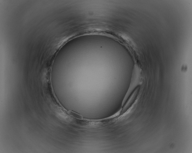 X0000092261353200710121331