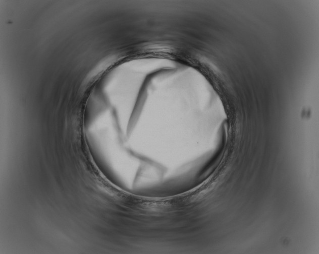 X0000092261354200710121330