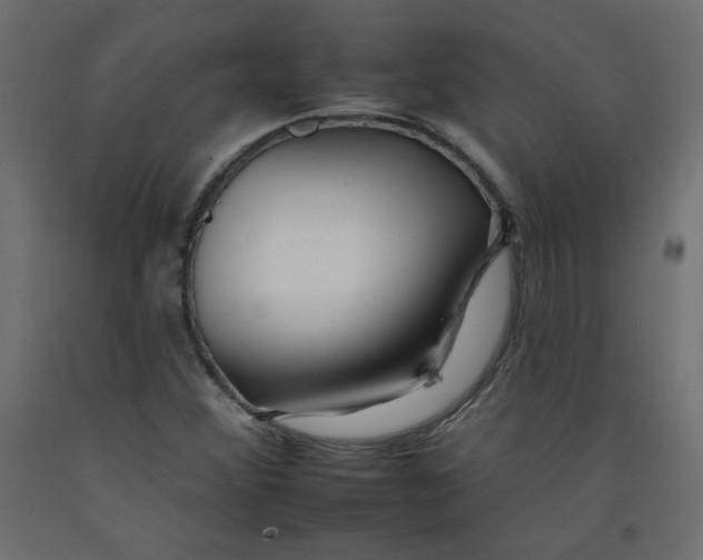 X0000092261356200710121330