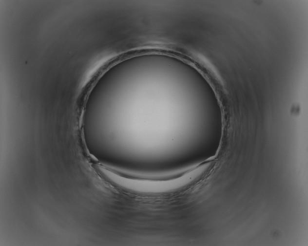 X0000092261360200710121330