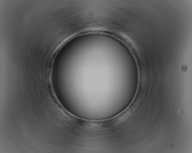 X0000092261361200710121330