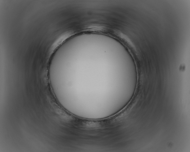 X0000092261362200710121330