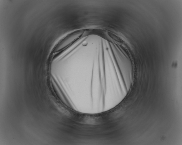 X0000092261364200710121330