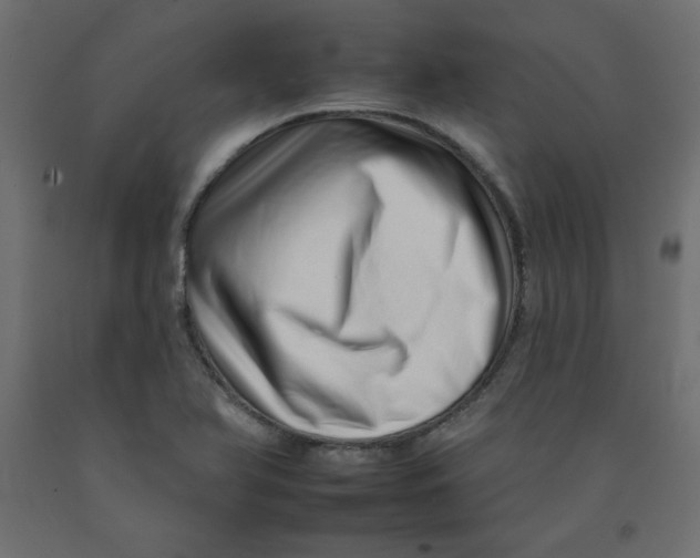 X0000092261366200710121330