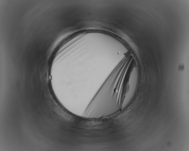 X0000092261368200710121330