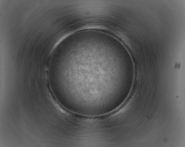 X0000092261369200710121330