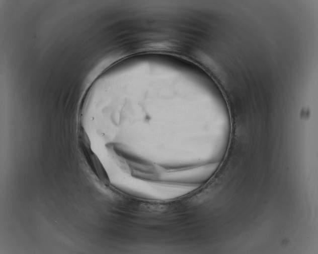 X0000092261370200710121330