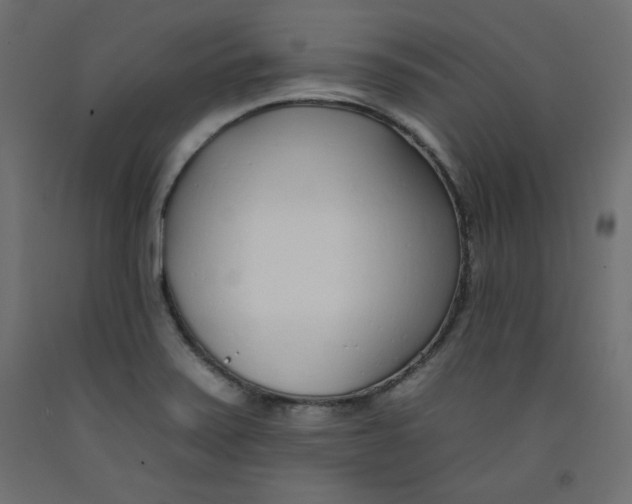 X0000092261371200710121330