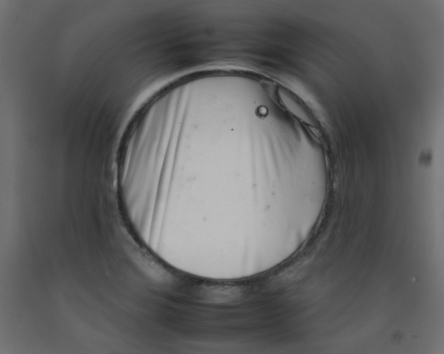 X0000092261372200710121330