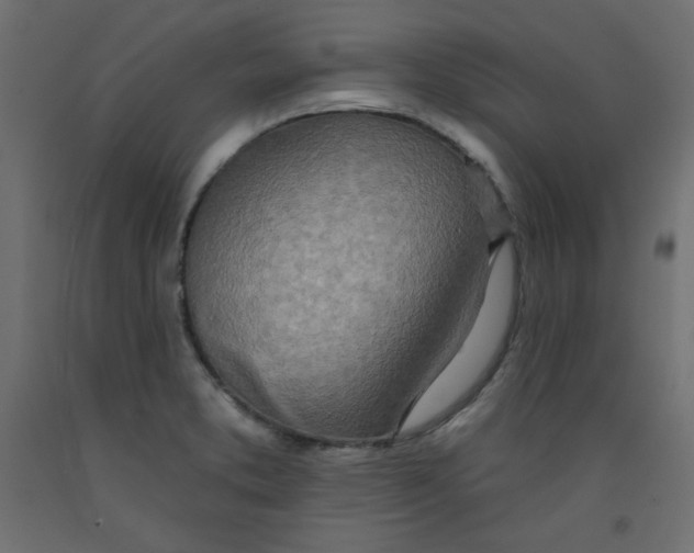 X0000092261373200710121330