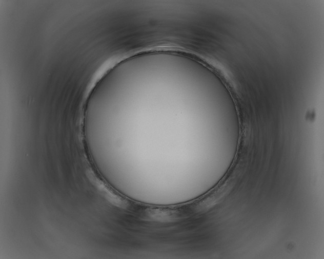 X0000092261374200710121330