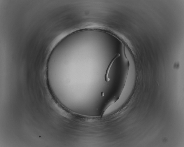 X0000092261375200710121330