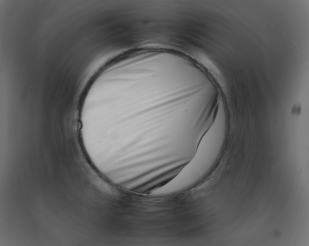 X0000092261376200710121330