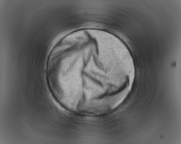 X0000092261379200710121330