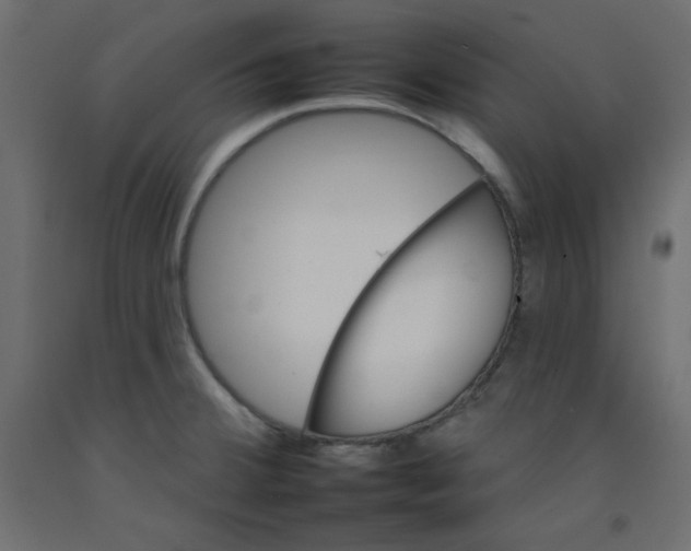 X0000092261380200710121330