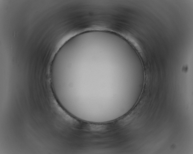 X0000092261382200710121330