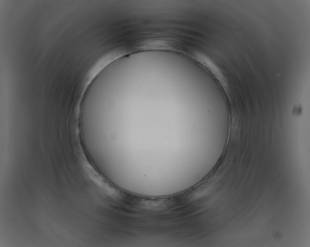 X0000092261386200710121330