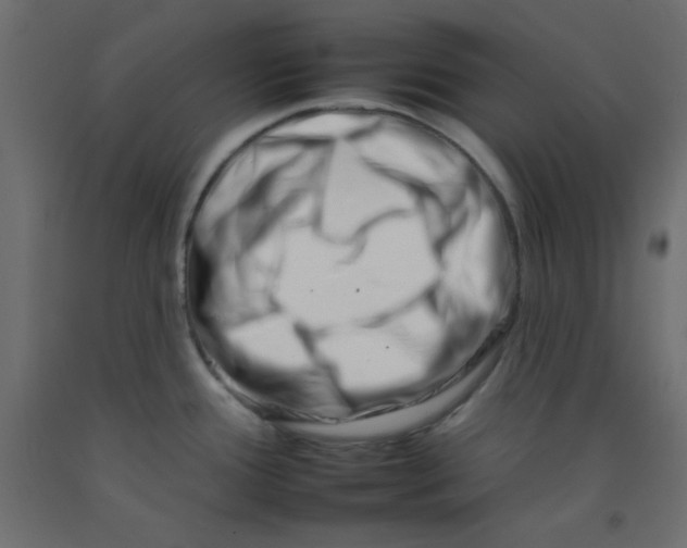 X0000092261388200710121330