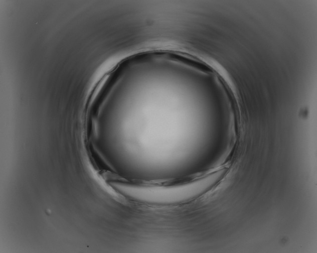 X0000092261389200710121330