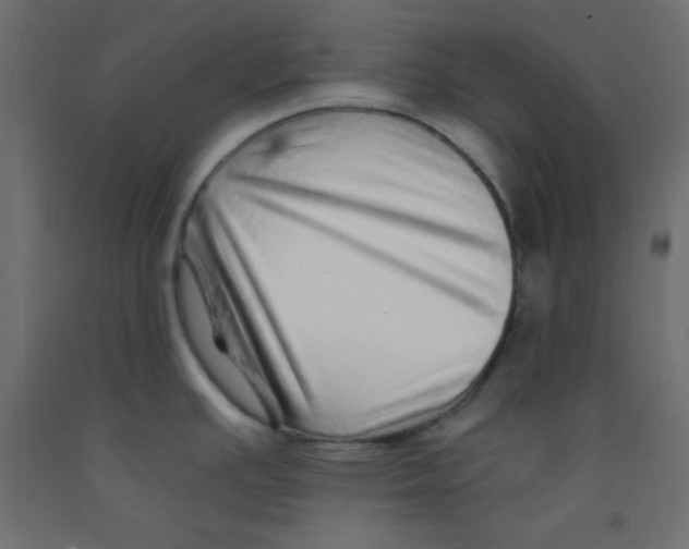 X0000092261391200710121330