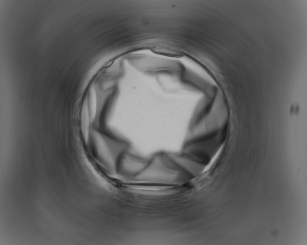 X0000092261392200710121330