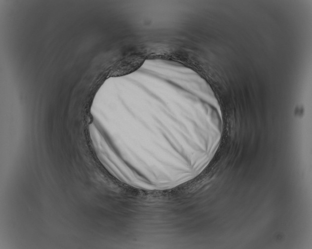 X0000092261393200710121329