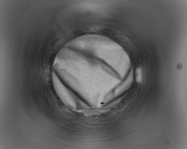 X0000092261395200710121329