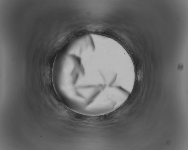 X0000092261396200710121329