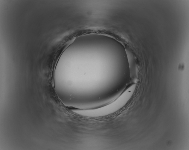 X0000092261398200710121329