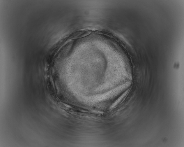 X0000092261399200710121329