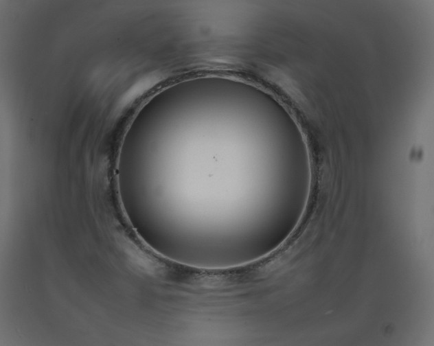 X0000092261402200710121330