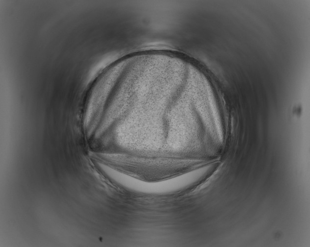 X0000092261405200710121330