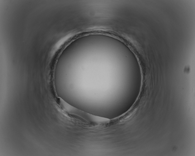 X0000092261406200710121330